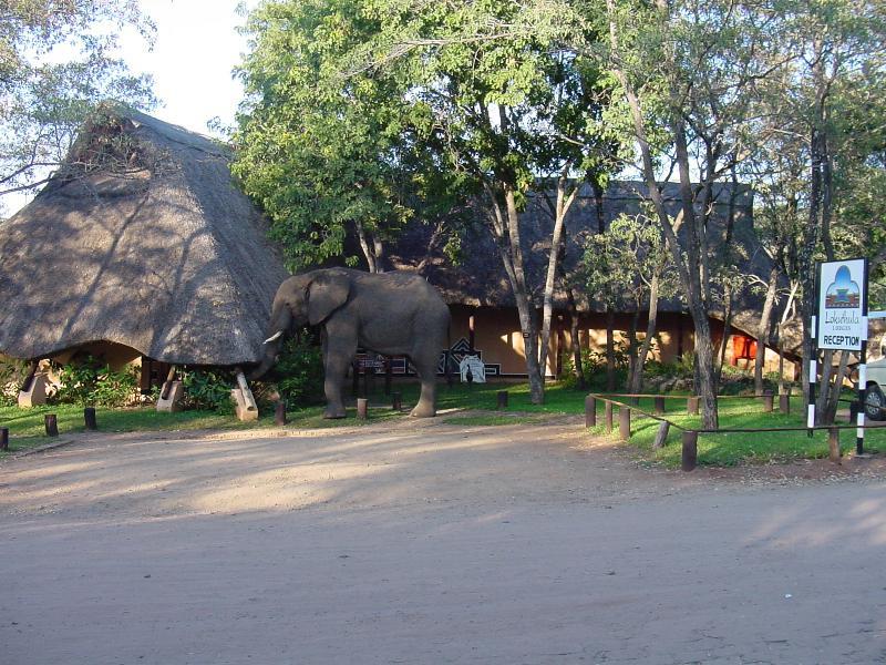 Lokuthula Lodges Air Terjun Victoria Bagian luar foto